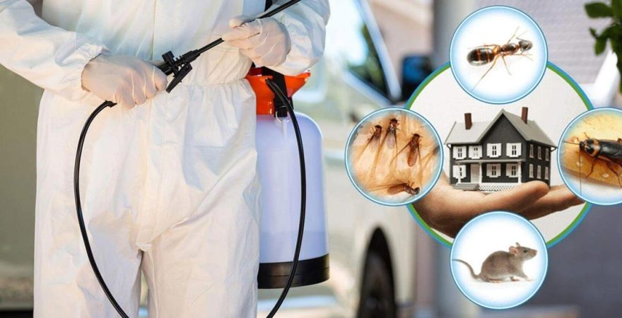 Alaşehir Böcek İlaçlama