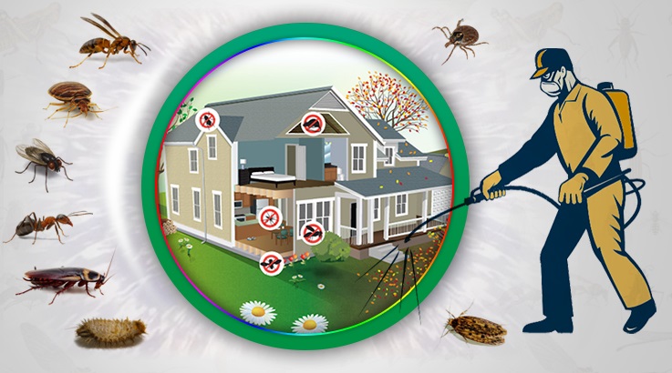 Alaşehir Böcek İlaçlama