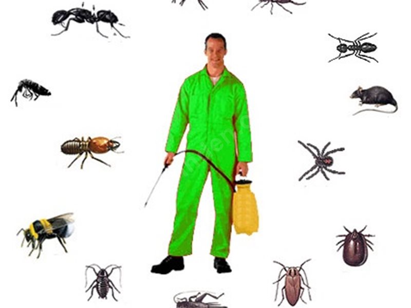 Alaşehir Böcek İlaçlama